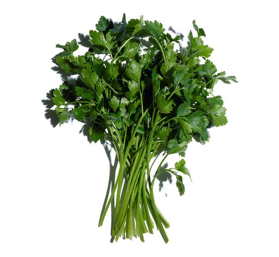 Prezzemolo-Olio essenziale di prezzemolo-Carum petroselinum (parsley) seed oil