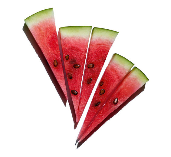 Cocomero-Estratto di anguria-Citrullus lanatus (watermelon) fruit extract