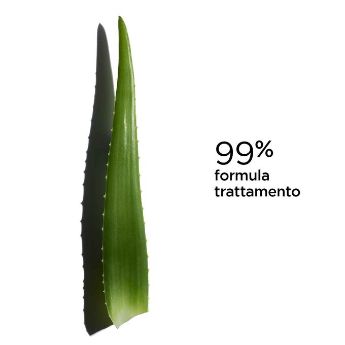 Foto di una pianta di aloe vera su sfondo bianco per illustrare la formula trattamento al 99% della tinta labbra di Clarins