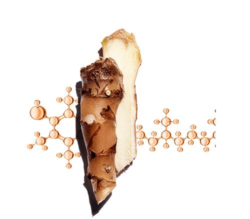 Estratto di zenzero giglio + Vitamina E per contribuire a proteggere dallo stress ossidativo, contrastando l’invecchiamento e la perdita di luminosità